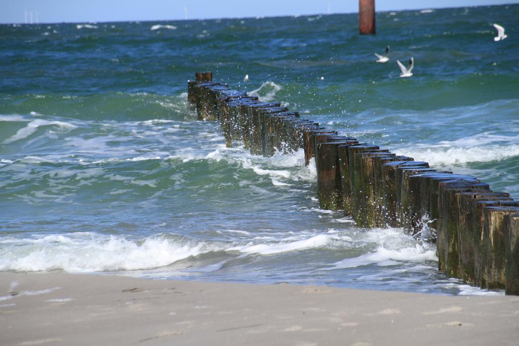 Hotel Garni Inselparadies Ostseeheilbad Zingst Exterior foto